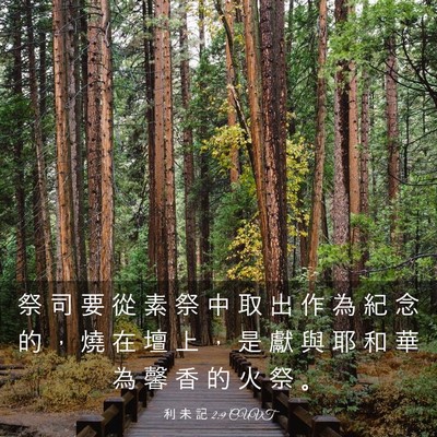 Picture 03 - 利 未 記 2:9 CUVT - 祭 司 要 從 素 祭 中 取 出 作 為 紀 - Bible Verse Picture