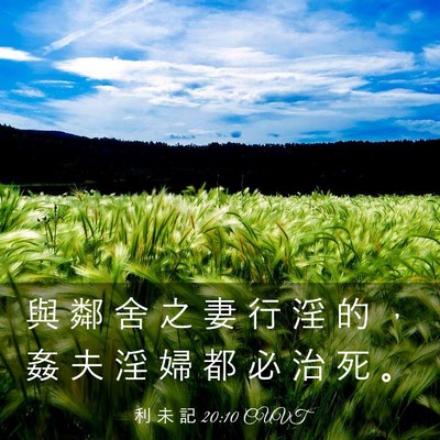 Picture 03 - 利 未 記 20:10 CUVT - 與 鄰 舍 之 妻 行 淫 的 ， 姦 夫 淫 - Bible Verse Picture