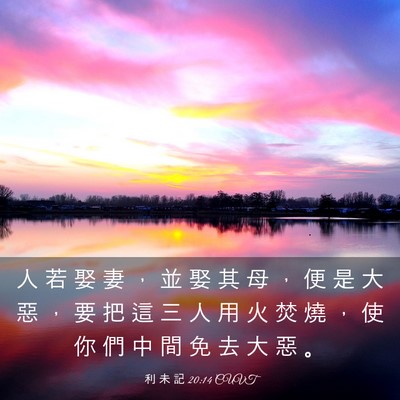 Picture 03 - 利 未 記 20:14 CUVT - 人 若 娶 妻 ， 並 娶 其 母 ， 便 是 - Bible Verse Picture