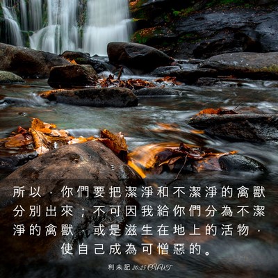 Picture 03 - 利 未 記 20:25 CUVT - 所 以 ， 你 們 要 把 潔 淨 和 不 潔 - Bible Verse Picture