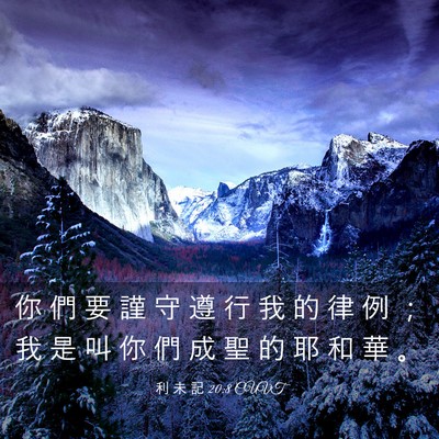 Picture 03 - 利 未 記 20:8 CUVT - 你 們 要 謹 守 遵 行 我 的 律 例 ； - Bible Verse Picture