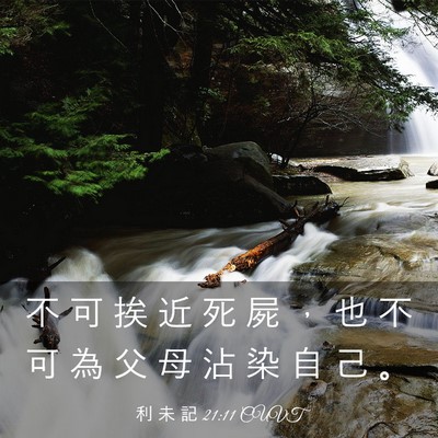 Picture 03 - 利 未 記 21:11 CUVT - 不 可 挨 近 死 屍 ， 也 不 可 為 父 - Bible Verse Picture