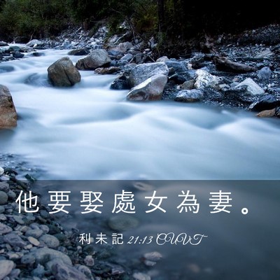 Picture 03 - 利 未 記 21:13 CUVT - 他 要 娶 處 女 為 妻 - Bible Verse Picture
