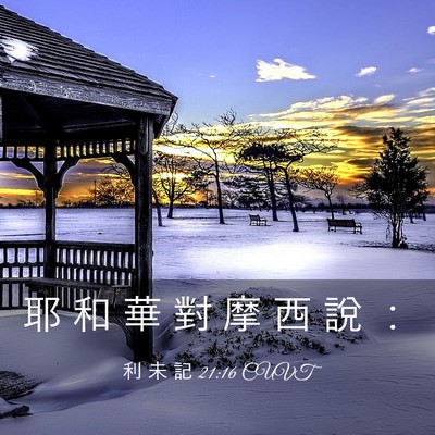Picture 03 - 利 未 記 21:16 CUVT - 耶 和 華 對 摩 西 說 - Bible Verse Picture