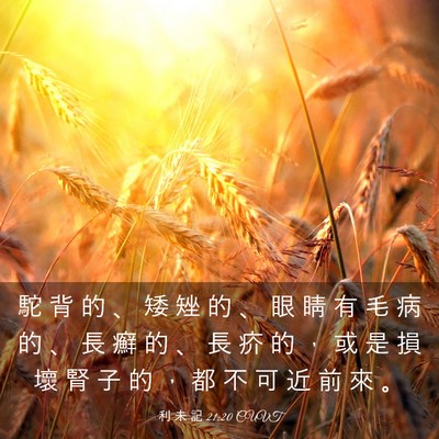 Picture 03 - 利 未 記 21:20 CUVT - 駝 背 的 、 矮 矬 的 、 眼 睛 有 毛 - Bible Verse Picture