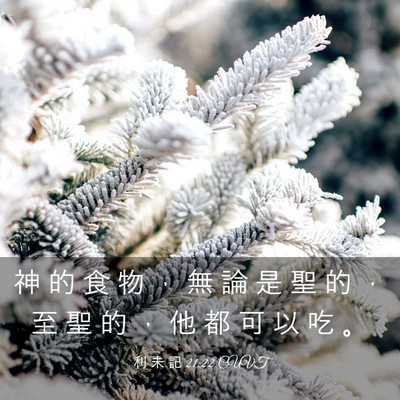 Picture 03 - 利 未 記 21:22 CUVT - 神 的 食 物 ， 無 論 是 聖 的 ， 至 - Bible Verse Picture
