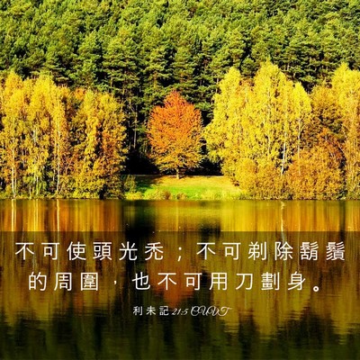 Picture 03 - 利 未 記 21:5 CUVT - 不 可 使 頭 光 禿 ； 不 可 剃 除 鬍 - Bible Verse Picture