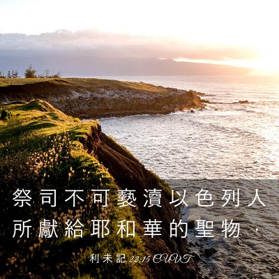 Picture 03 - 利 未 記 22:15 CUVT - 祭 司 不 可 褻 瀆 以 色 列 人 所 獻 - Bible Verse Picture