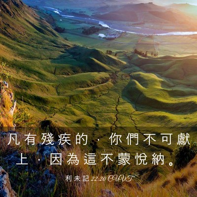 Picture 03 - 利 未 記 22:20 CUVT - 凡 有 殘 疾 的 ， 你 們 不 可 獻 上 - Bible Verse Picture