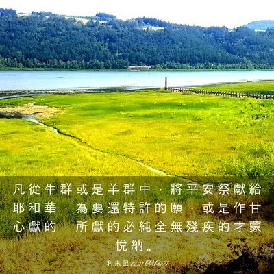 Picture 03 - 利 未 記 22:21 CUVT - 凡 從 牛 群 或 是 羊 群 中 ， 將 平 - Bible Verse Picture