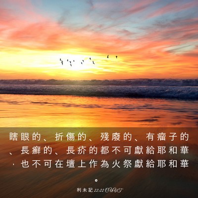Picture 03 - 利 未 記 22:22 CUVT - 瞎 眼 的 、 折 傷 的 、 殘 廢 的 、 - Bible Verse Picture