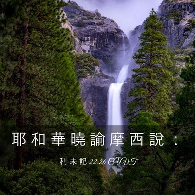 Picture 03 - 利 未 記 22:26 CUVT - 耶 和 華 曉 諭 摩 西 說 - Bible Verse Picture