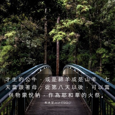 Picture 03 - 利 未 記 22:27 CUVT - 才 生 的 公 牛 ， 或 是 綿 羊 或 是 - Bible Verse Picture