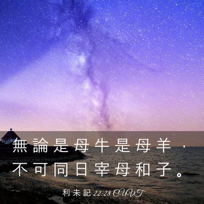 Picture 03 - 利 未 記 22:28 CUVT - 無 論 是 母 牛 是 母 羊 ， 不 可 同 - Bible Verse Picture