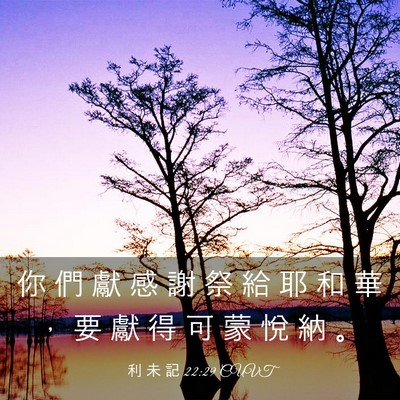 Picture 03 - 利 未 記 22:29 CUVT - 你 們 獻 感 謝 祭 給 耶 和 華 ， 要 - Bible Verse Picture