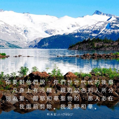 Picture 03 - 利 未 記 22:3 CUVT - 你 要 對 他 們 說 ： 你 們 世 世 代 - Bible Verse Picture