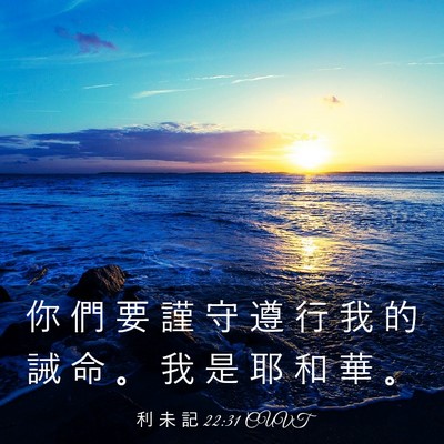 Picture 03 - 利 未 記 22:31 CUVT - 你 們 要 謹 守 遵 行 我 的 誡 命 。 - Bible Verse Picture