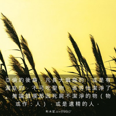Picture 03 - 利 未 記 22:4 CUVT - 亞 倫 的 後 裔 ， 凡 長 大 痲 瘋 的 - Bible Verse Picture