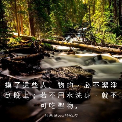 Picture 03 - 利 未 記 22:6 CUVT - 摸 了 這 些 人 、 物 的 ， 必 不 潔 - Bible Verse Picture