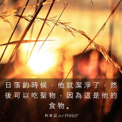 Picture 03 - 利 未 記 22:7 CUVT - 日 落 的 時 候 ， 他 就 潔 淨 了 ， - Bible Verse Picture
