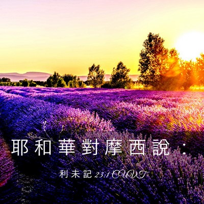 Picture 03 - 利 未 記 23:1 CUVT - 耶 和 華 對 摩 西 說 - Bible Verse Picture