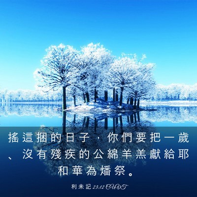 Picture 03 - 利 未 記 23:12 CUVT - 搖 這 捆 的 日 子 ， 你 們 要 把 一 - Bible Verse Picture