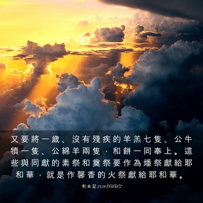 Picture 03 - 利 未 記 23:18 CUVT - 又 要 將 一 歲 、 沒 有 殘 疾 的 羊 - Bible Verse Picture