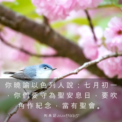 Picture 03 - 利 未 記 23:24 CUVT - 你 曉 諭 以 色 列 人 說 ： 七 月 初 - Bible Verse Picture
