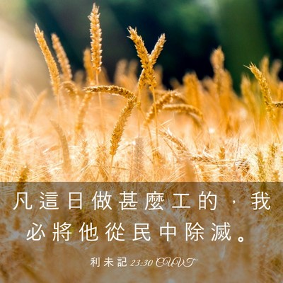 Picture 03 - 利 未 記 23:30 CUVT - 凡 這 日 做 甚 麼 工 的 ， 我 必 將 - Bible Verse Picture