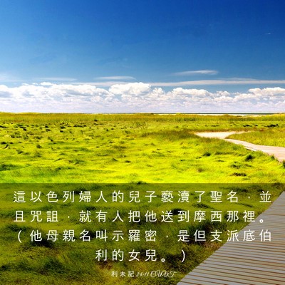 Picture 03 - 利 未 記 24:11 CUVT - 這 以 色 列 婦 人 的 兒 子 褻 瀆 了 - Bible Verse Picture