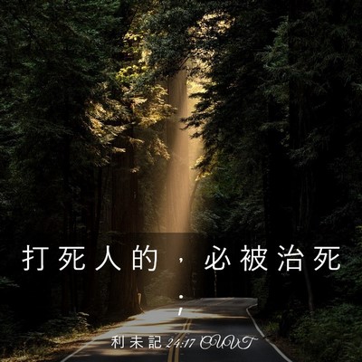 Picture 03 - 利 未 記 24:17 CUVT - 打 死 人 的 ， 必 被 治 死 - Bible Verse Picture
