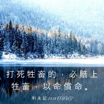 Picture 03 - 利 未 記 24:18 CUVT - 打 死 牲 畜 的 ， 必 賠 上 牲 畜 ， - Bible Verse Picture
