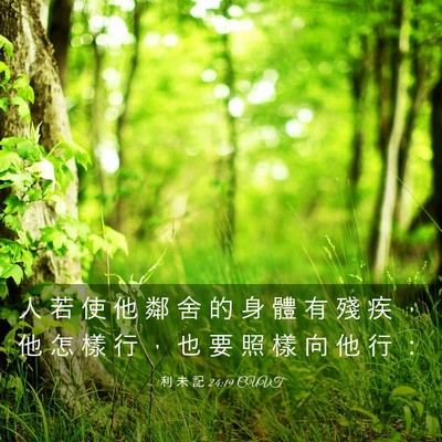 Picture 03 - 利 未 記 24:19 CUVT - 人 若 使 他 鄰 舍 的 身 體 有 殘 疾 - Bible Verse Picture