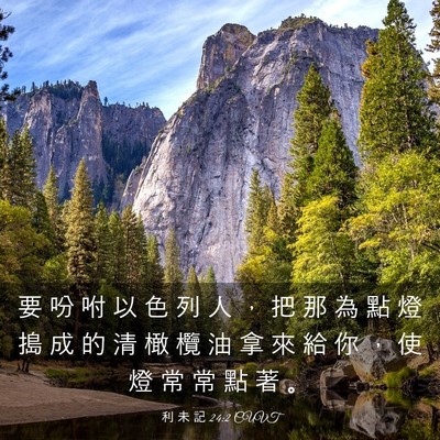 Picture 03 - 利 未 記 24:2 CUVT - 要 吩 咐 以 色 列 人 ， 把 那 為 點 - Bible Verse Picture