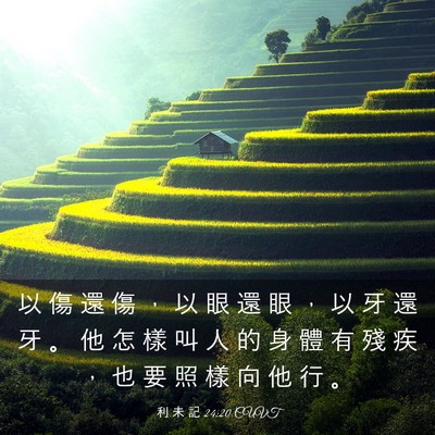 Picture 03 - 利 未 記 24:20 CUVT - 以 傷 還 傷 ， 以 眼 還 眼 ， 以 牙 - Bible Verse Picture