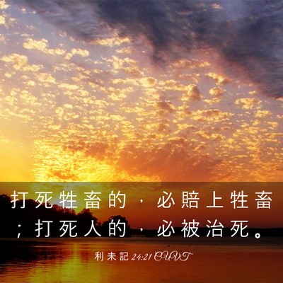 Picture 03 - 利 未 記 24:21 CUVT - 打 死 牲 畜 的 ， 必 賠 上 牲 畜 ； - Bible Verse Picture