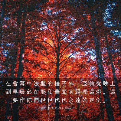 Picture 03 - 利 未 記 24:3 CUVT - 在 會 幕 中 法 櫃 的 幔 子 外 ， 亞 - Bible Verse Picture