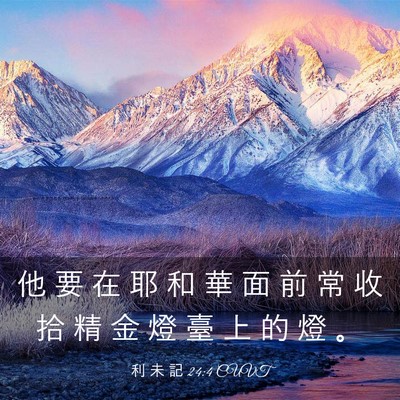 Picture 03 - 利 未 記 24:4 CUVT - 他 要 在 耶 和 華 面 前 常 收 拾 精 - Bible Verse Picture