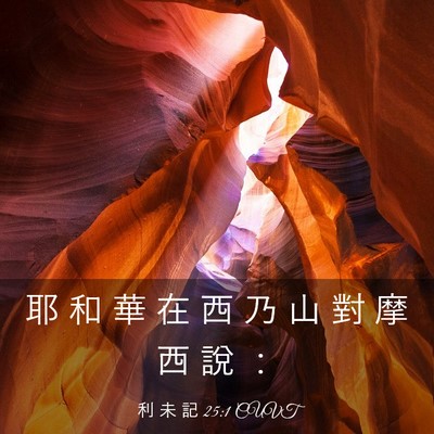 Picture 03 - 利 未 記 25:1 CUVT - 耶 和 華 在 西 乃 山 對 摩 西 說 - Bible Verse Picture