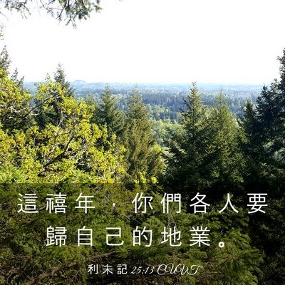 Picture 03 - 利 未 記 25:13 CUVT - 這 禧 年 ， 你 們 各 人 要 歸 自 己 - Bible Verse Picture