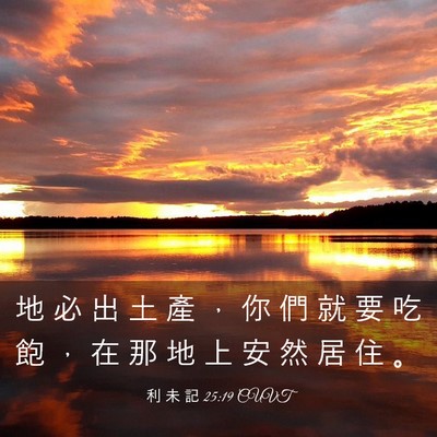 Picture 03 - 利 未 記 25:19 CUVT - 地 必 出 土 產 ， 你 們 就 要 吃 飽 - Bible Verse Picture