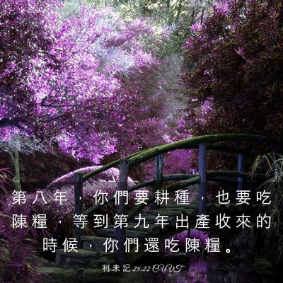 Picture 03 - 利 未 記 25:22 CUVT - 第 八 年 ， 你 們 要 耕 種 ， 也 要 - Bible Verse Picture