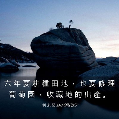Picture 03 - 利 未 記 25:3 CUVT - 六 年 要 耕 種 田 地 ， 也 要 修 理 - Bible Verse Picture