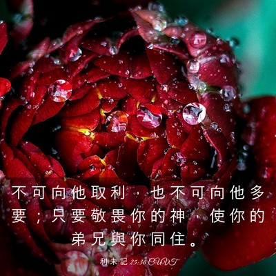 Picture 03 - 利 未 記 25:36 CUVT - 不 可 向 他 取 利 ， 也 不 可 向 他 - Bible Verse Picture
