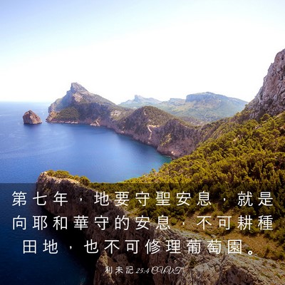 Picture 03 - 利 未 記 25:4 CUVT - 第 七 年 ， 地 要 守 聖 安 息 ， 就 - Bible Verse Picture