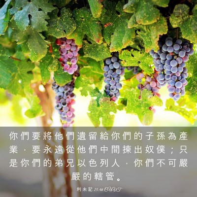 Picture 03 - 利 未 記 25:46 CUVT - 你 們 要 將 他 們 遺 留 給 你 們 的 - Bible Verse Picture