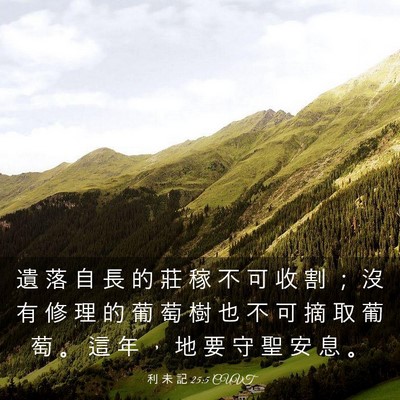 Picture 03 - 利 未 記 25:5 CUVT - 遺 落 自 長 的 莊 稼 不 可 收 割 ； - Bible Verse Picture