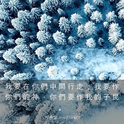 Picture 03 - 利 未 記 26:12 CUVT - 我 要 在 你 們 中 間 行 走 ； 我 要 - Bible Verse Picture