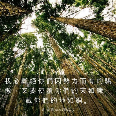 Picture 03 - 利 未 記 26:19 CUVT - 我 必 斷 絕 你 們 因 勢 力 而 有 的 - Bible Verse Picture
