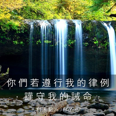 Picture 03 - 利 未 記 26:3 CUVT - 你 們 若 遵 行 我 的 律 例 ， 謹 守 - Bible Verse Picture